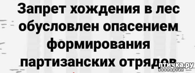 ���� 12: � ������ ��� ��������