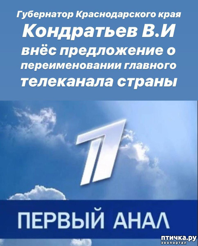 ���� 13: � ������ ��� ��������