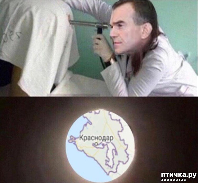 ���� 15: � ������ ��� ��������