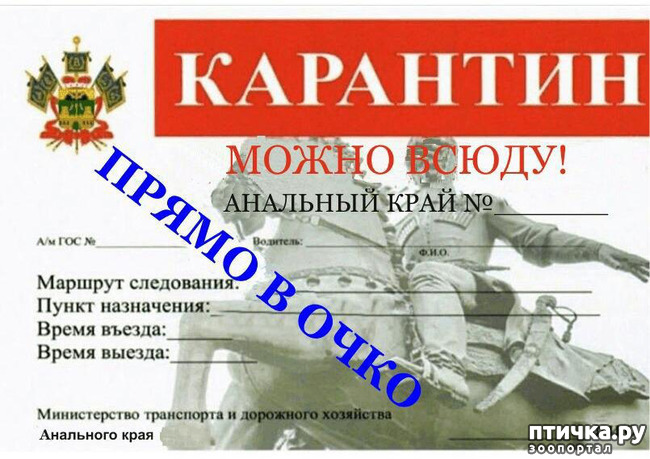 ���� 16: � ������ ��� ��������