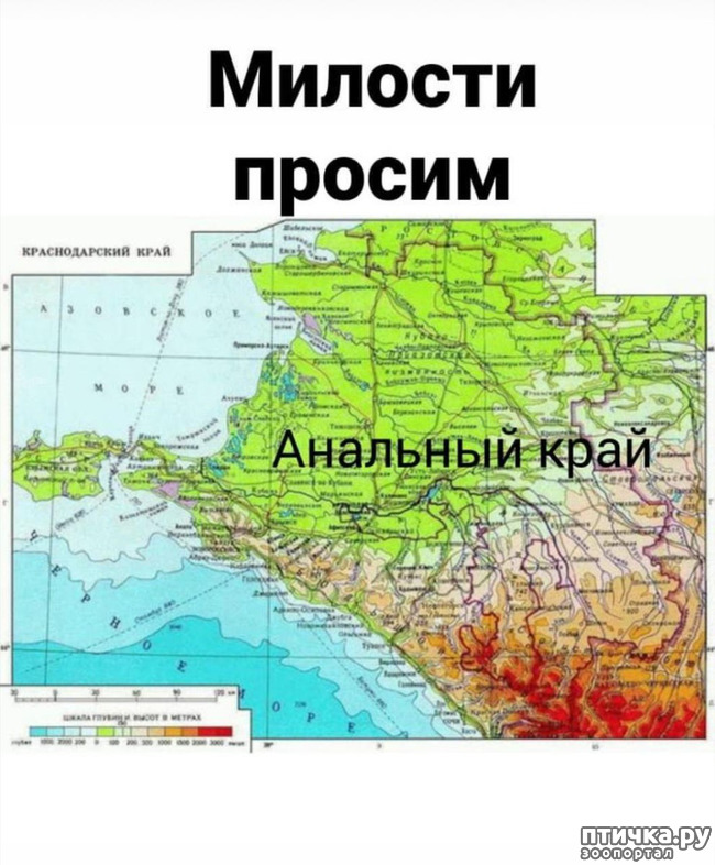 ���� 14: � ������ ��� ��������