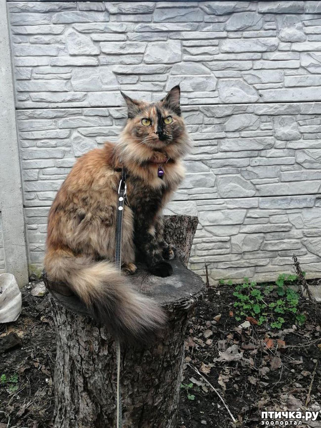 ���� 3: ��� ��������� �������.