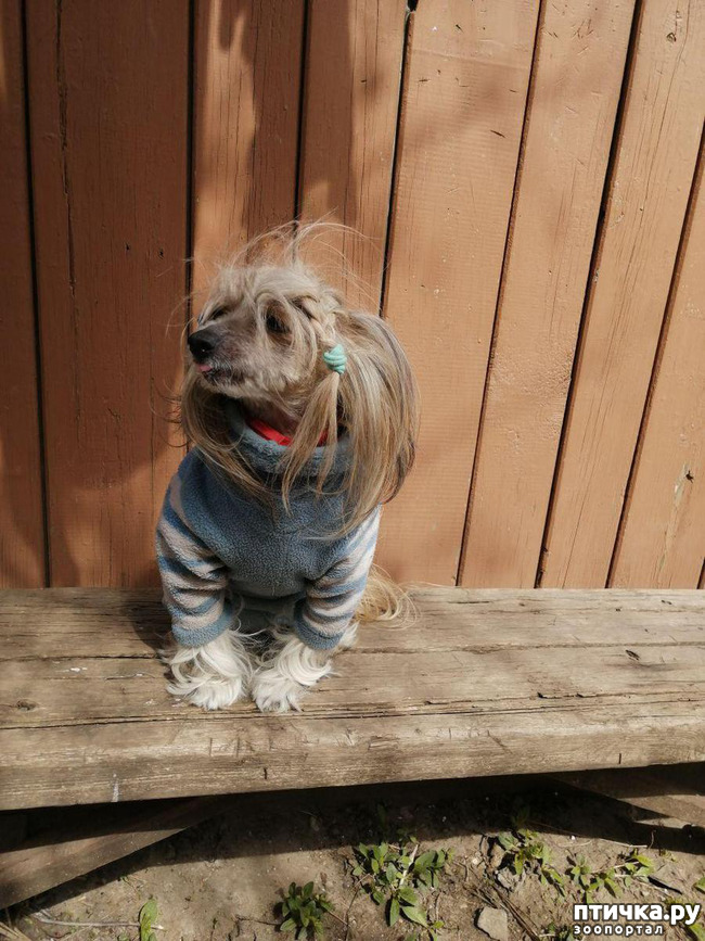 ���� 4: ��� ��������� �������.