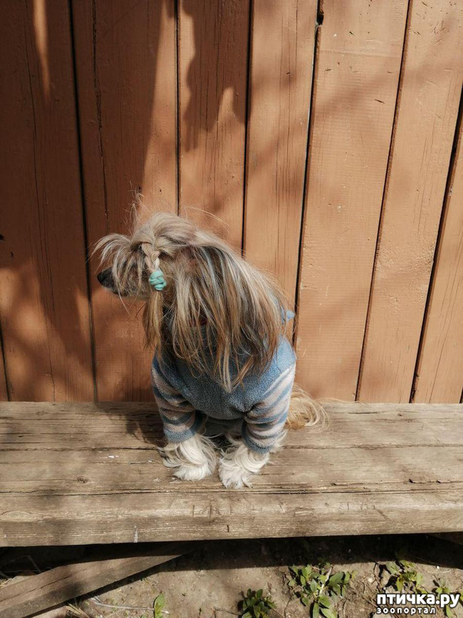 ���� 5: ��� ��������� �������.