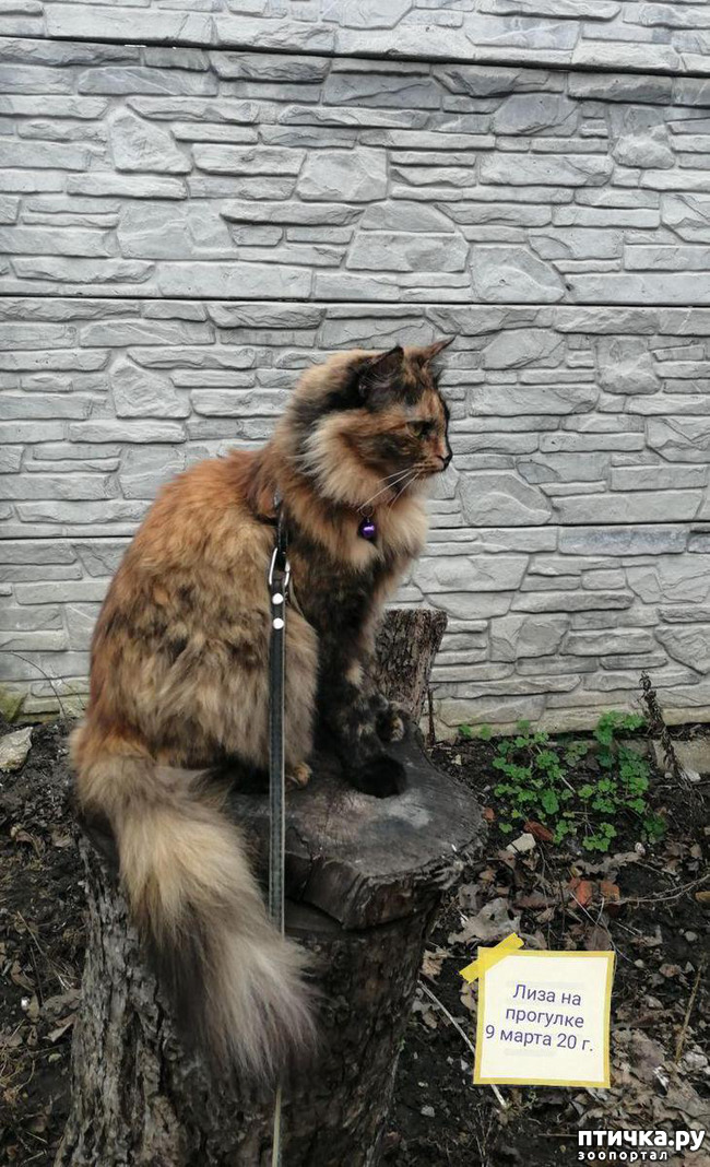 ���� 6: ��� ��������� �������.