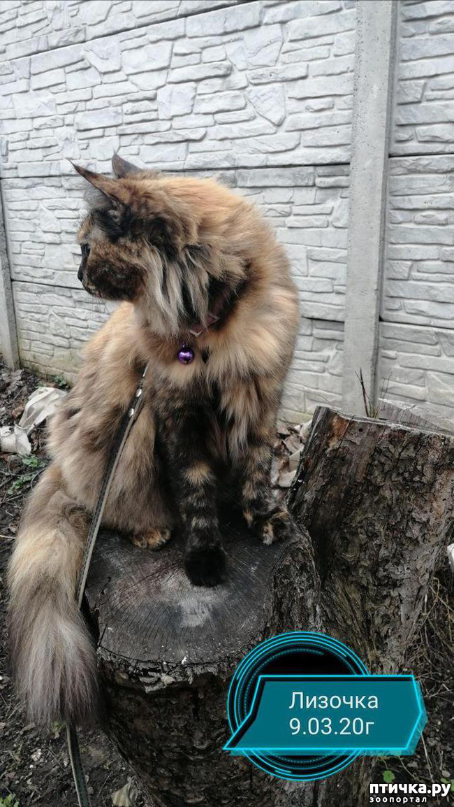 ���� 7: ��� ��������� �������.