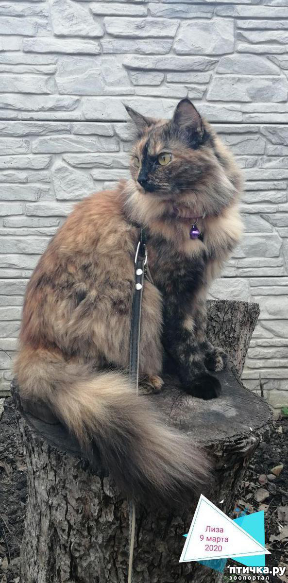 ���� 8: ��� ��������� �������.