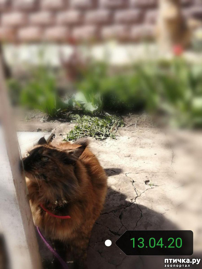 ���� 9: ��� ��������� �������.