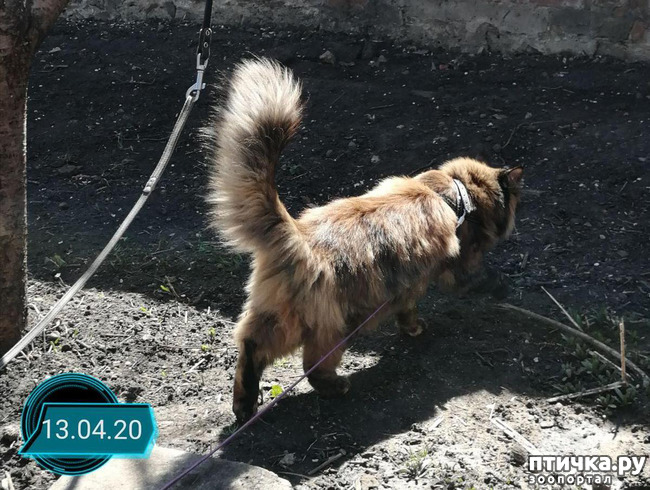 ���� 10: ��� ��������� �������.