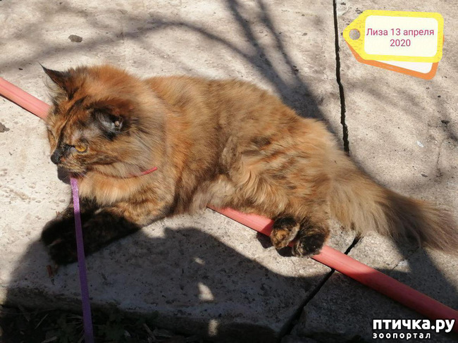 ���� 11: ��� ��������� �������.