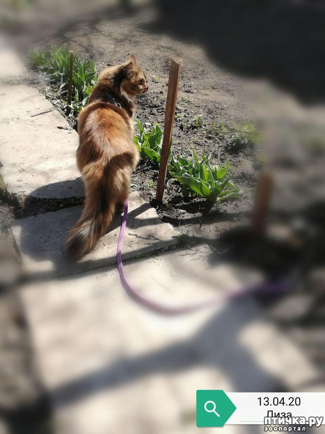 ���� 12: ��� ��������� �������.