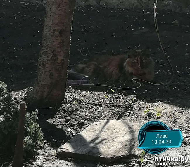 ���� 14: ��� ��������� �������.