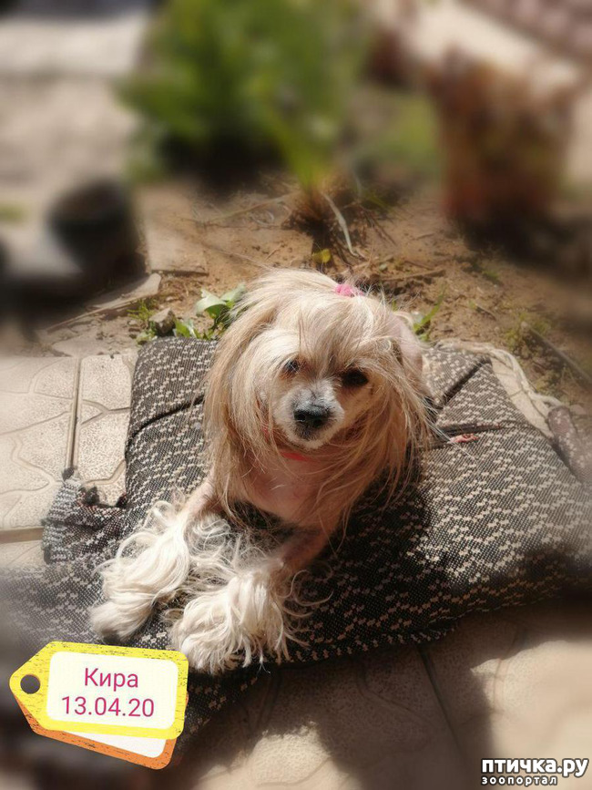 ���� 15: ��� ��������� �������.