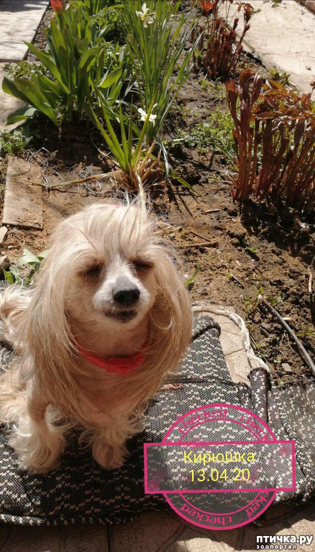 ���� 16: ��� ��������� �������.