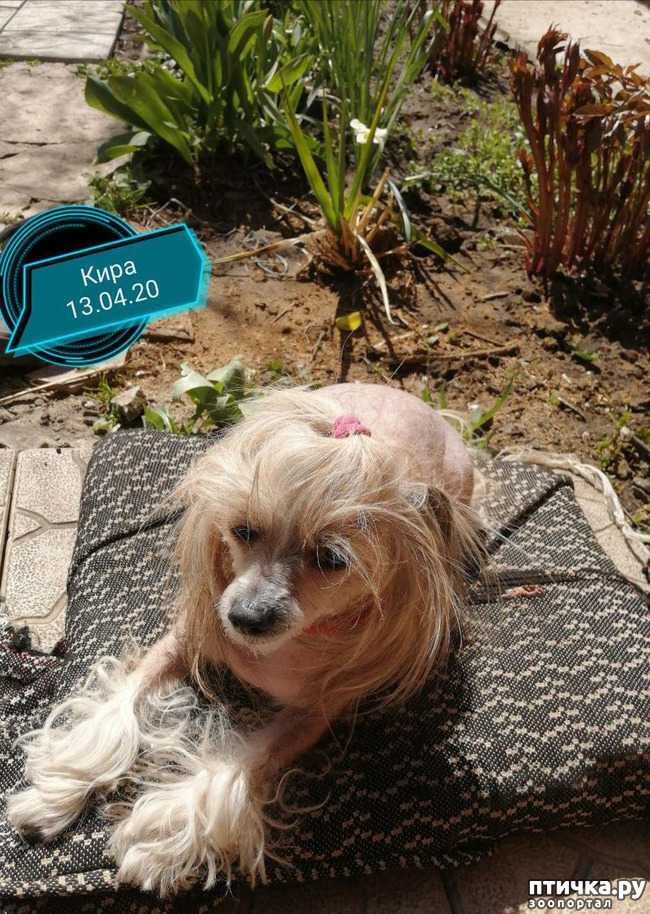 ���� 17: ��� ��������� �������.