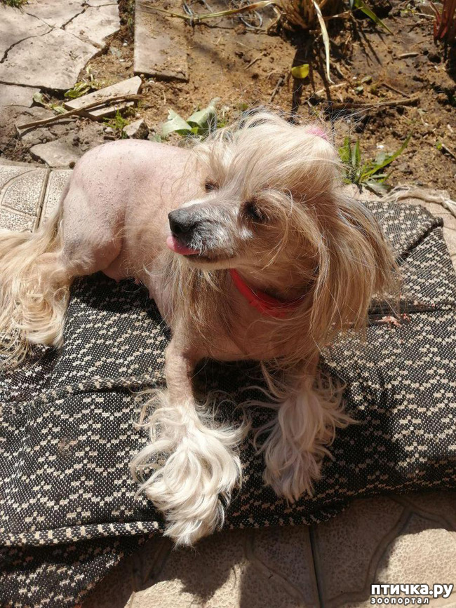 ���� 18: ��� ��������� �������.