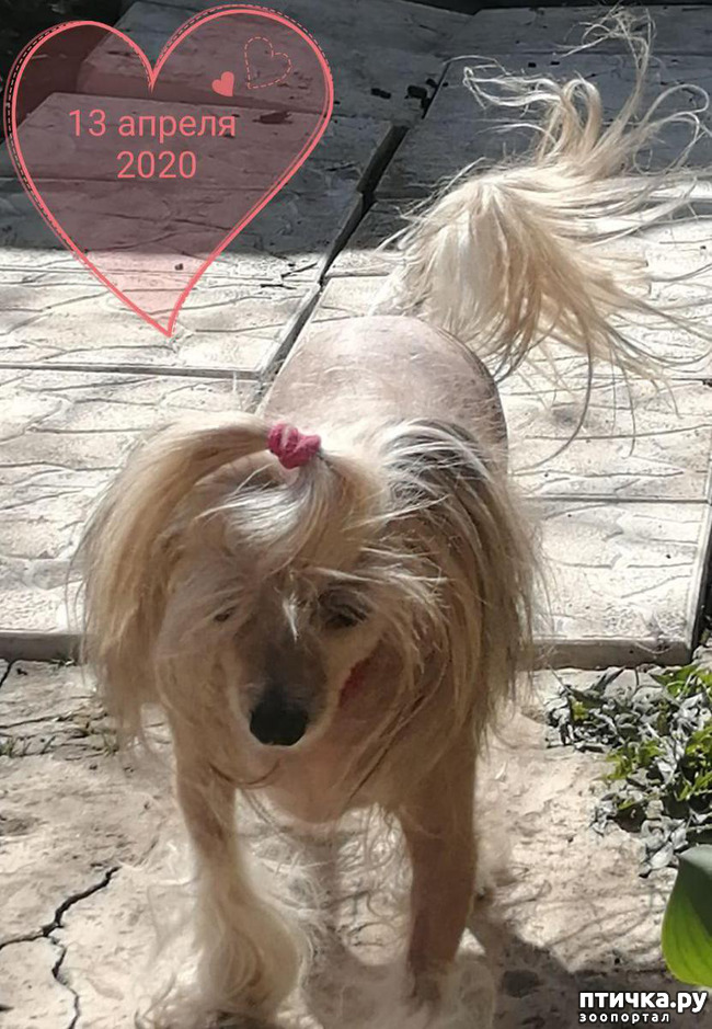 ���� 19: ��� ��������� �������.