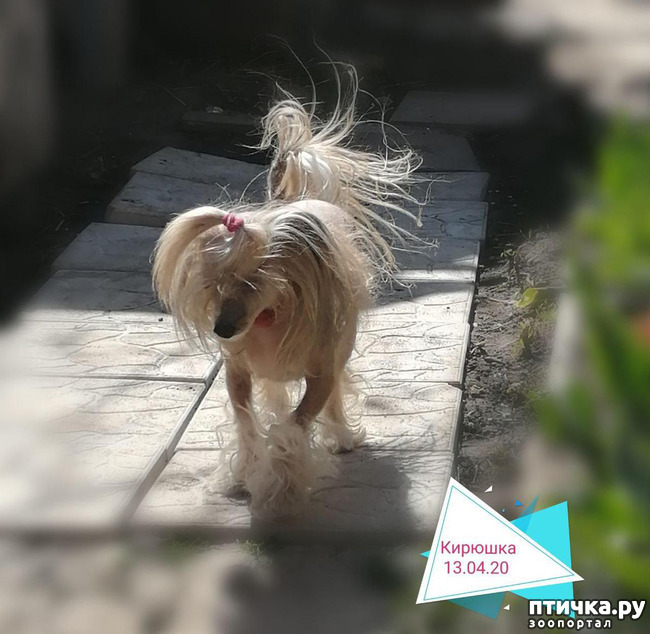 ���� 20: ��� ��������� �������.