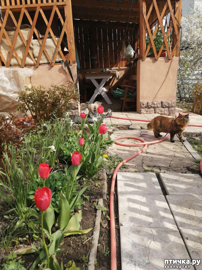 ���� 13: ��� ��������� �������.