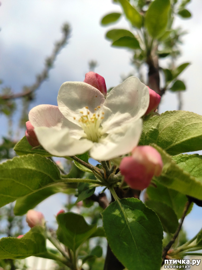 ���� 3: ������� ������� �����