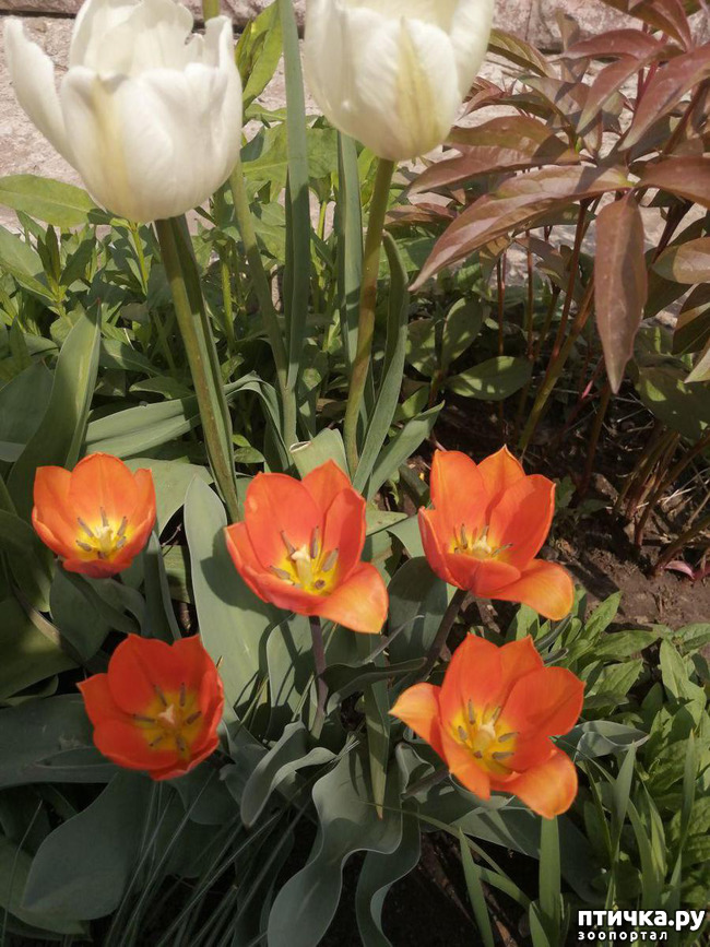 ���� 25: ������ ��� �����.