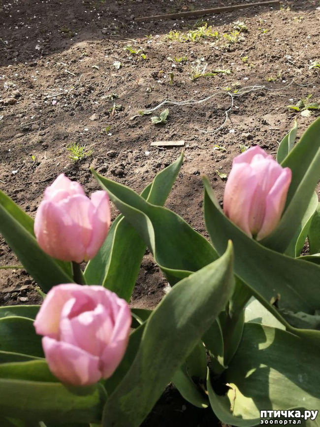 ���� 26: ������ ��� �����.