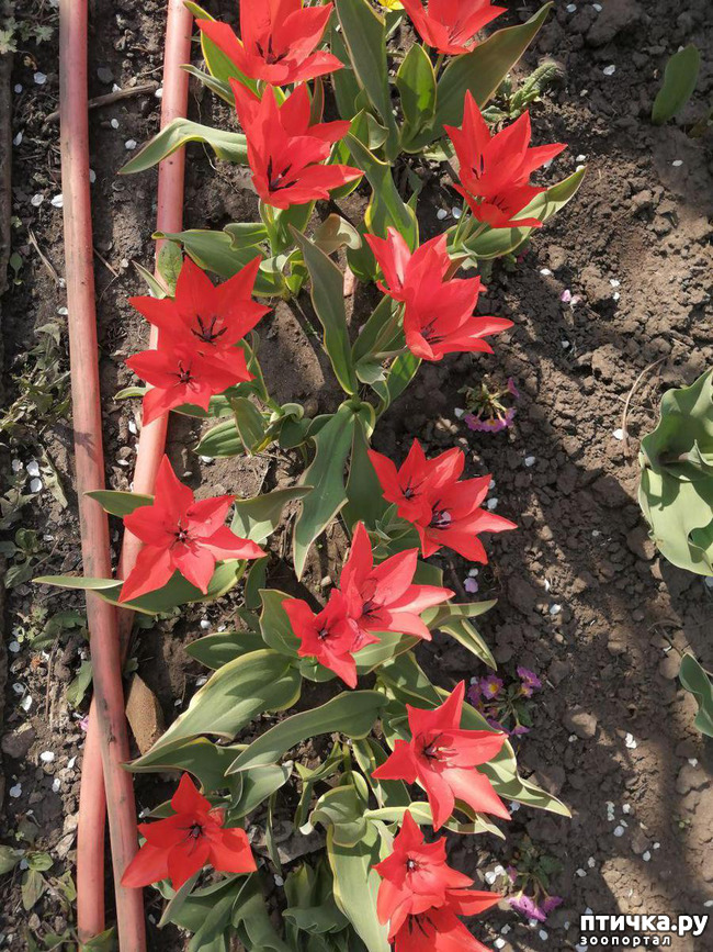 ���� 27: ������ ��� �����.