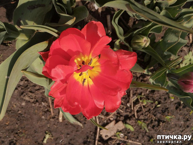 ���� 28: ������ ��� �����.