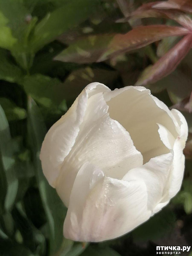 ���� 29: ������ ��� �����.