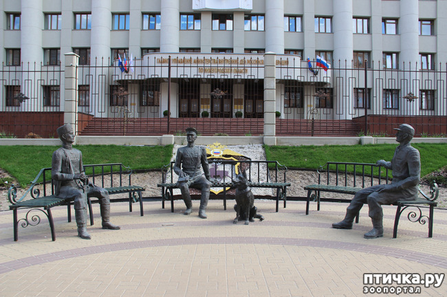 ���� 8: ����� ��������