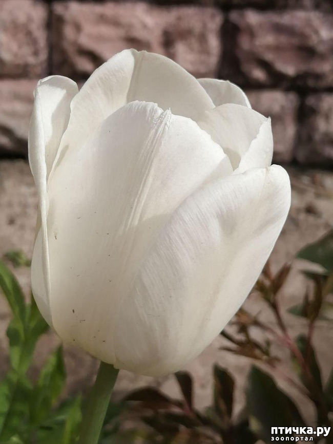 ���� 30: ������ ��� �����.