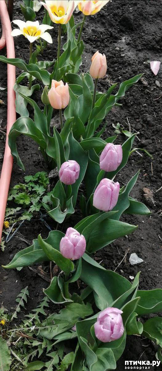 ���� 31: ������ ��� �����.