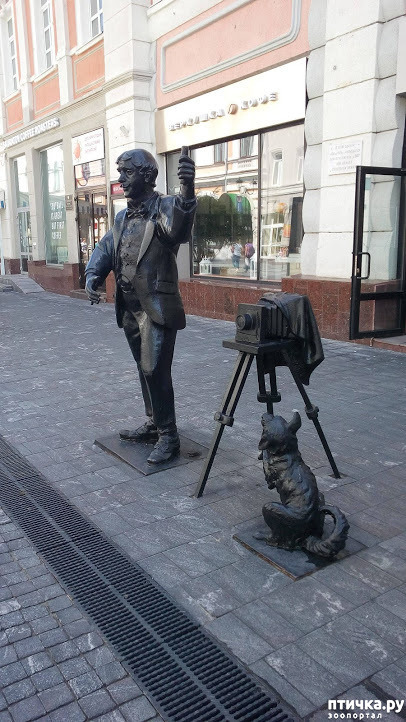 ���� 9: ����� ��������