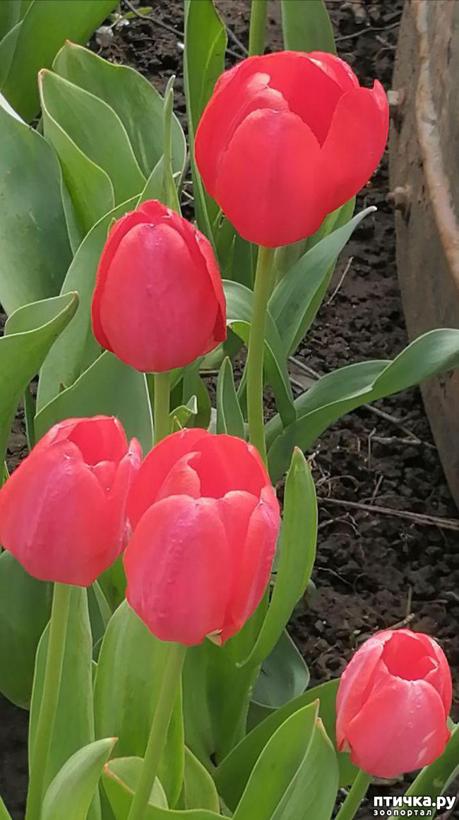 ���� 32: ������ ��� �����.