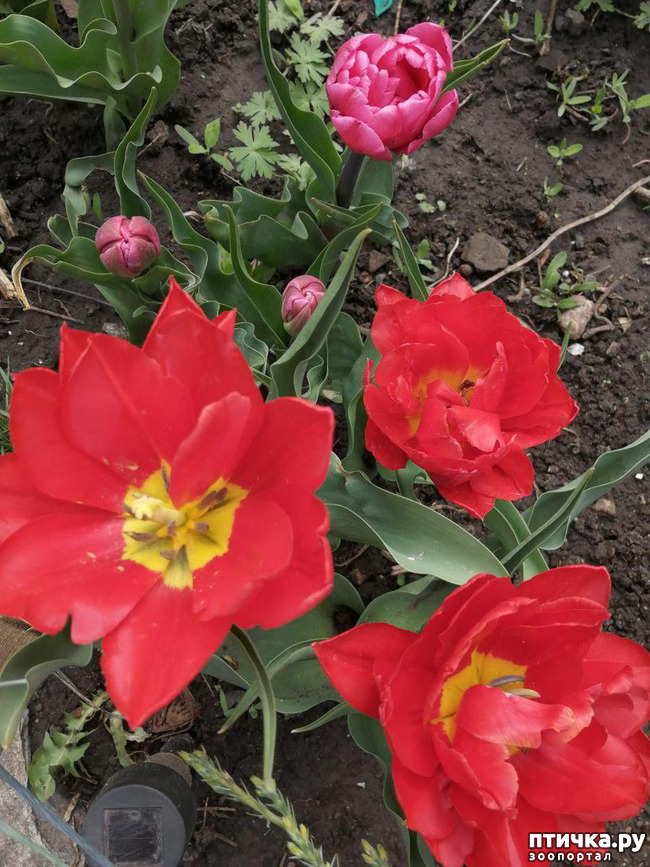 ���� 33: ������ ��� �����.