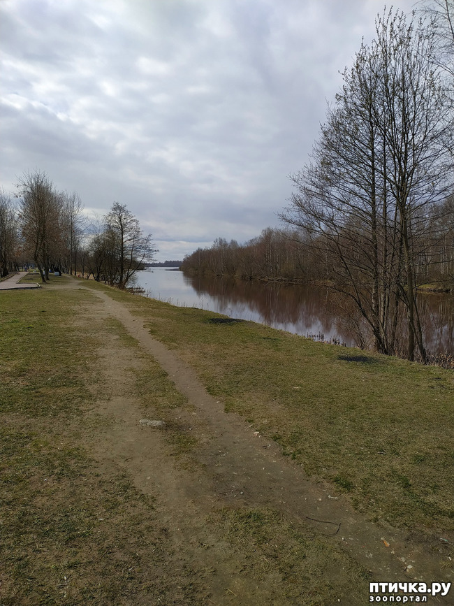 ���� 3: ������������ 2