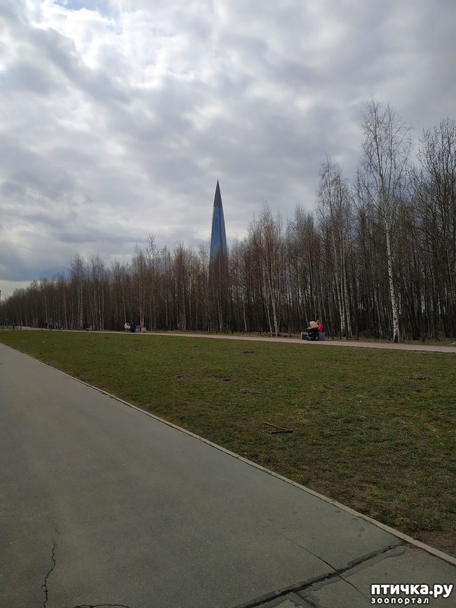 ���� 4: ������������ 2