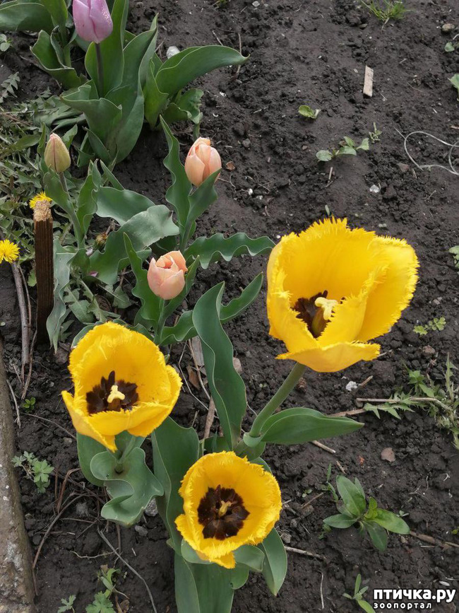 ���� 34: ������ ��� �����.