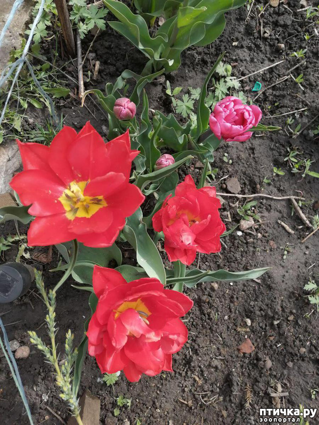 ���� 35: ������ ��� �����.