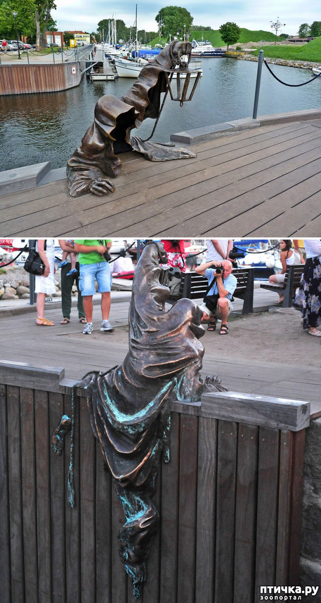 ���� 11: ����� ��������