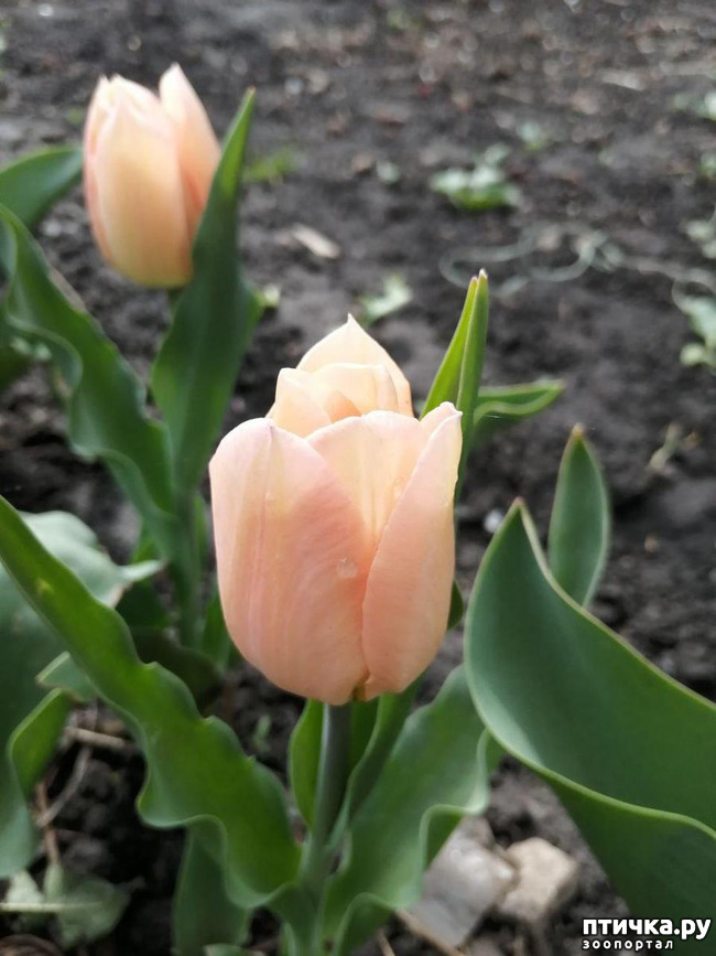 ���� 40: ������ ��� �����.