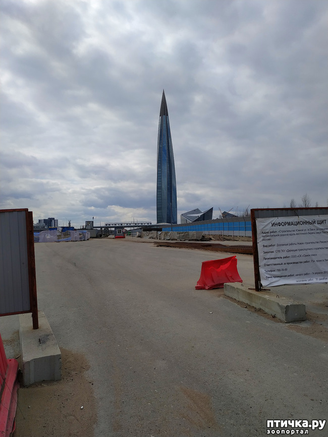 ���� 5: ������������ 2