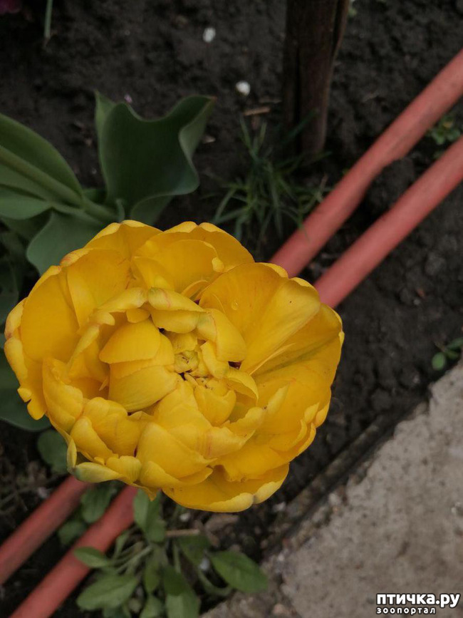 ���� 42: ������ ��� �����.