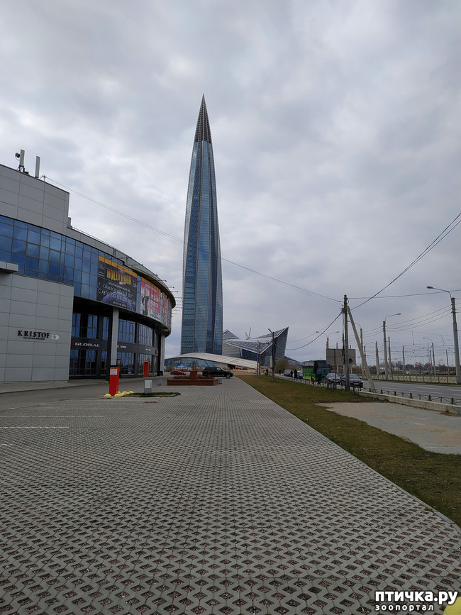 ���� 6: ������������ 2