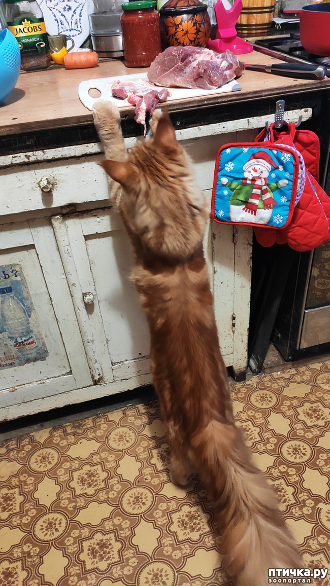 ���� 4: � ����� �� � ���