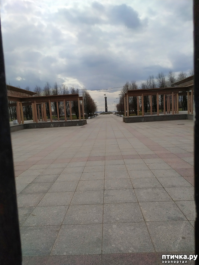 ���� 7: ������������ 2