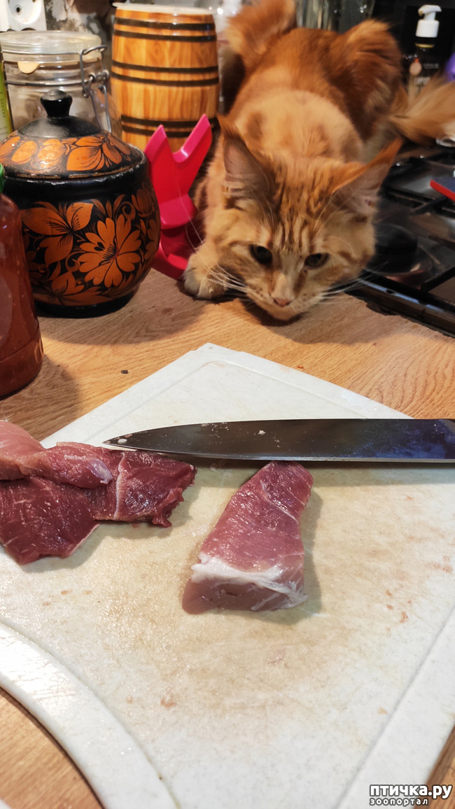 ���� 5: � ����� �� � ���