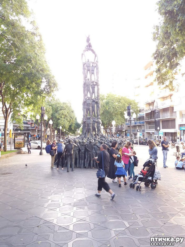 ���� 14: ����� ��������