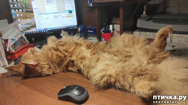 ���� 9: � ����� �� � ���