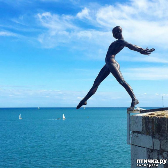 ���� 15: ����� ��������